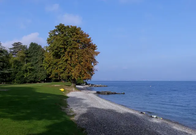 Plages du Léman